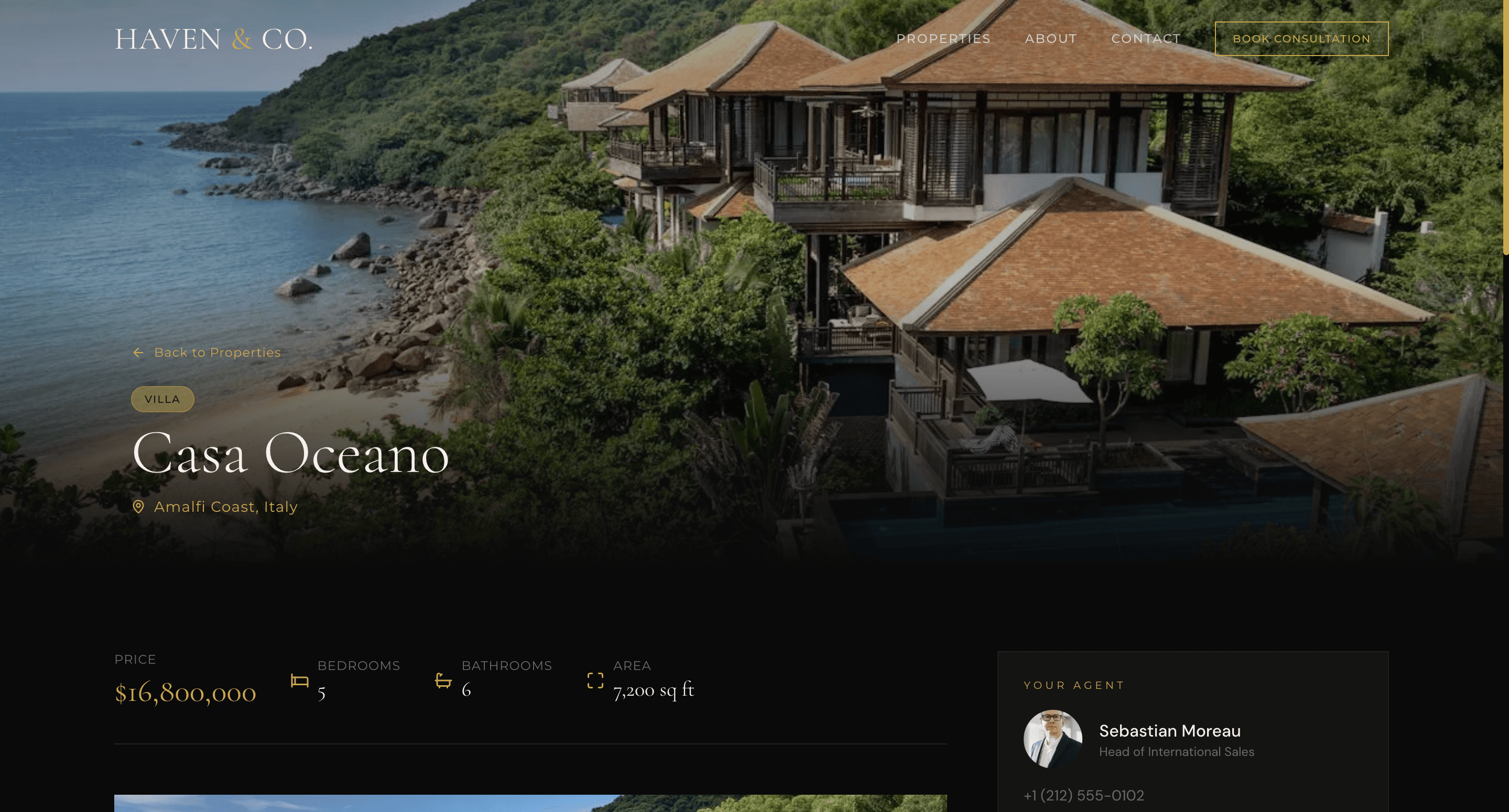 Haven & Co. screenshot 3