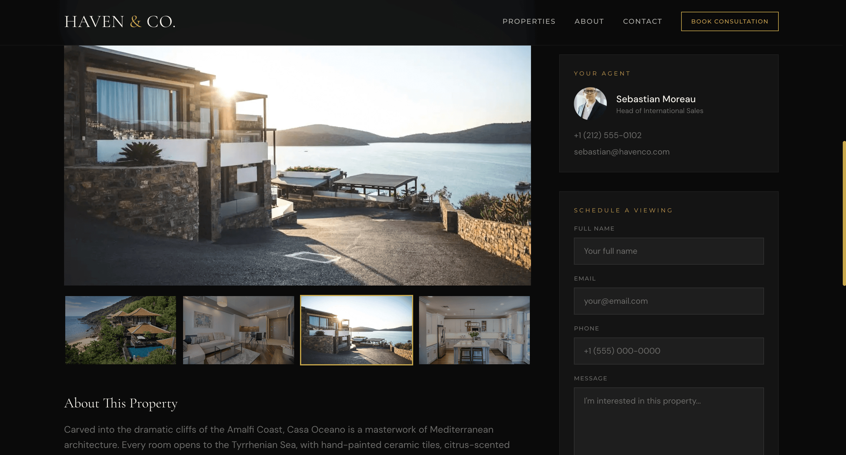 Haven & Co. screenshot 4